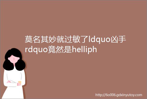 莫名其妙就过敏了ldquo凶手rdquo竟然是helliphellip