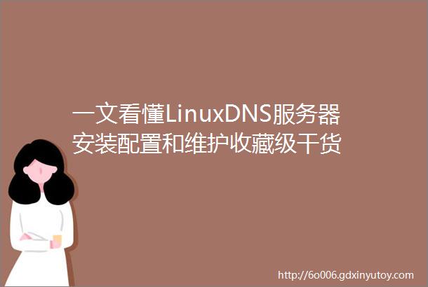 一文看懂LinuxDNS服务器安装配置和维护收藏级干货