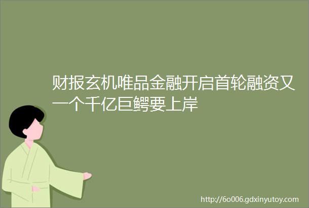 财报玄机唯品金融开启首轮融资又一个千亿巨鳄要上岸