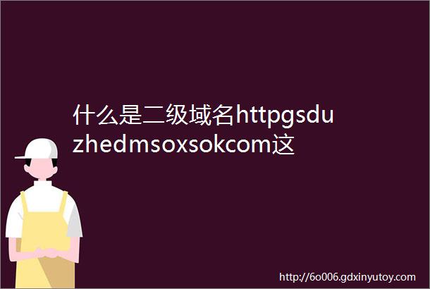 什么是二级域名httpgsduzhedmsoxsokcom这样的是